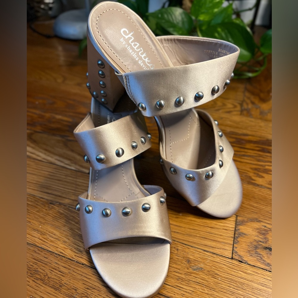 Charles by Charles David Sandal - Roaring